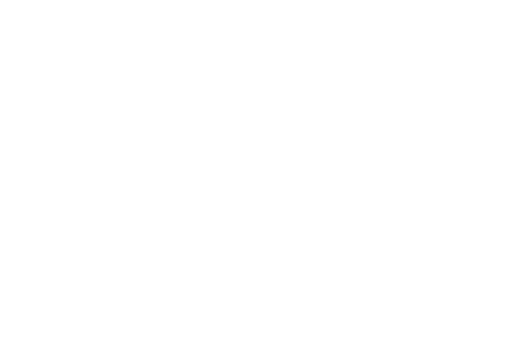 Pedro Martins Photography